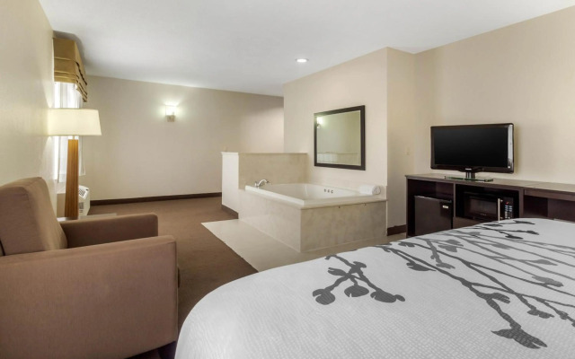 Sleep Inn & Suites Allendale