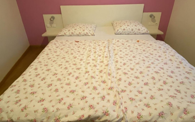 Wellness Suite Viola