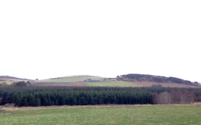 Walkers Inn