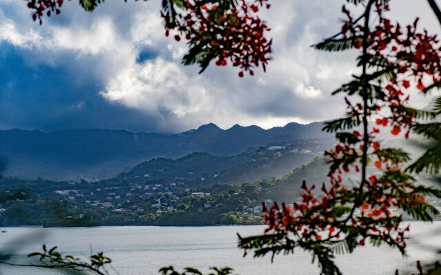 Mount Cinnamon Grenada