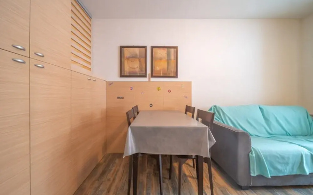 Apartment in France With Ski Slope Access