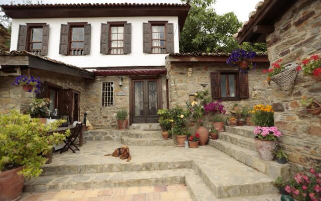 Terrace Houses Sirince - Fig, Olive and Grapevine