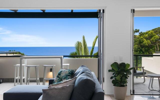 Papillon Coolum