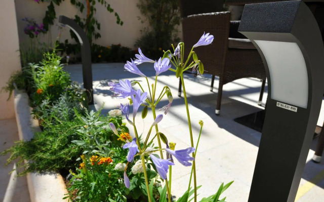 Vida Boutique Hotel