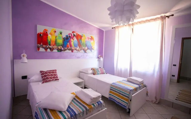 B&B Trepo