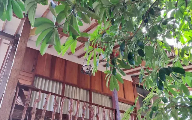 Diana's Homestay