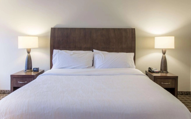 Hilton Garden Inn Raleigh-Cary