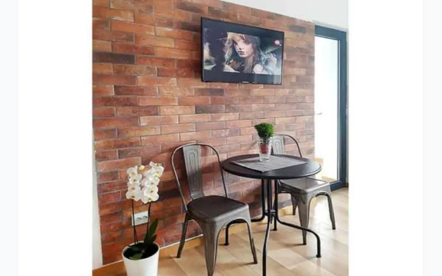 Piata Victoriei Sanador Studio Apartment