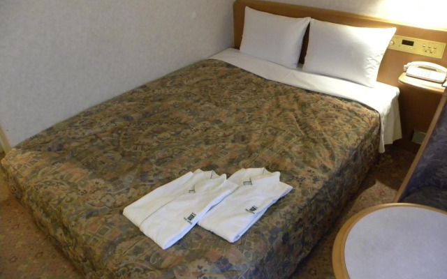 Hotel New Green Okachimachi