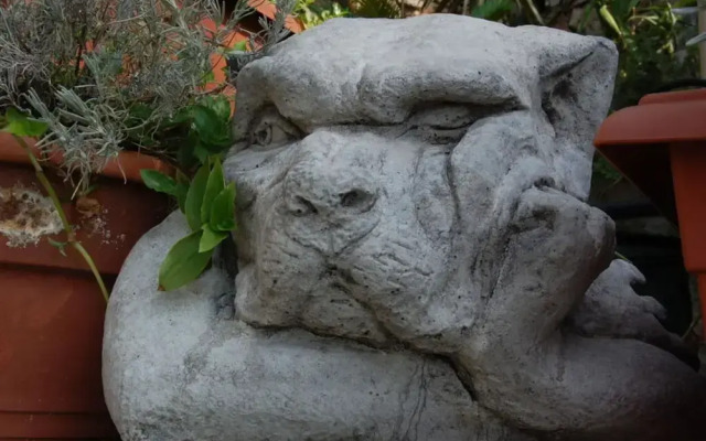 Tuinappartement - Castel D'incze