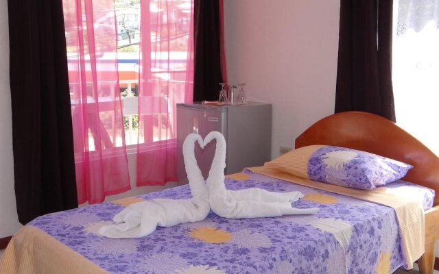 Monteverde Coati & Sloth Studios Apartments
