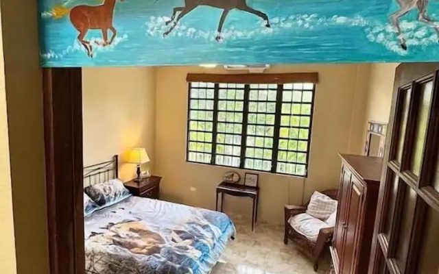 Vieques BioBay Bed and Breakfast