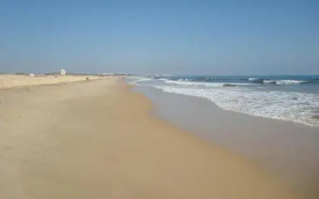 Lota Beach Resort - Apartments