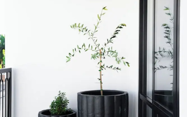 St Hugh Hotel Wagga Wagga