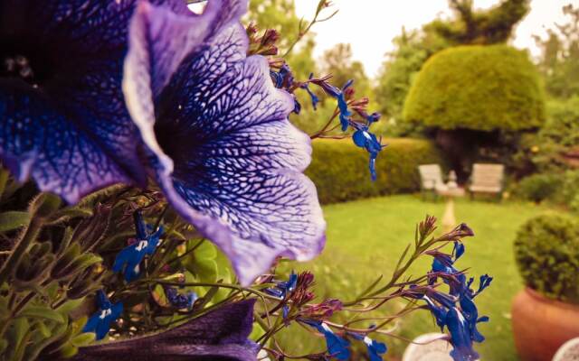 Yew Tree House B & B