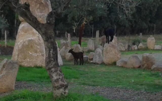 Hotel I Menhirs