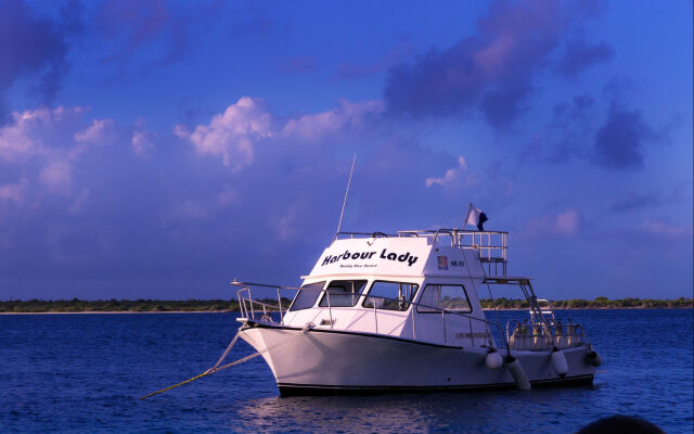 Buddy Dive Resort