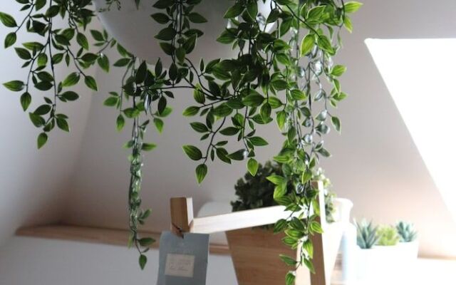 La Maison des Soeurs