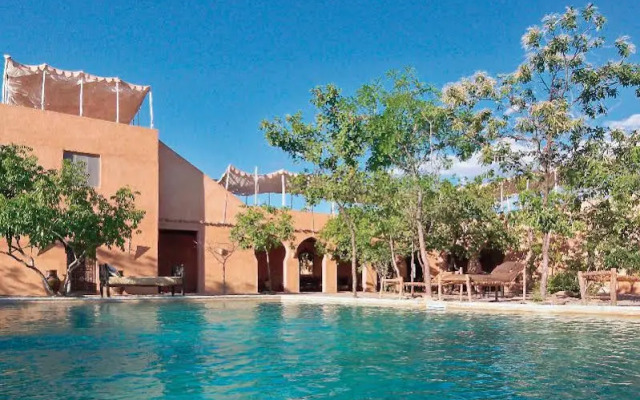 The Retreat Selous
