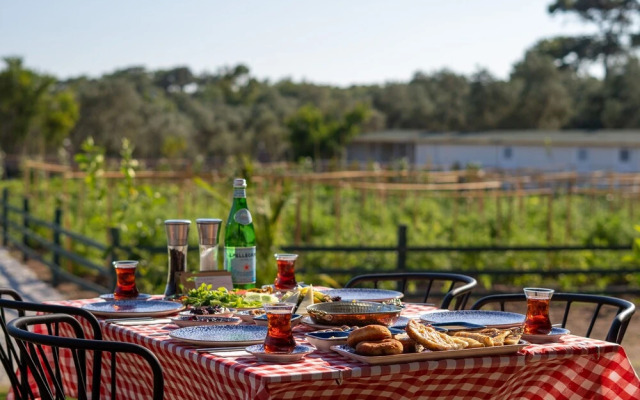 Leone Natural Otel