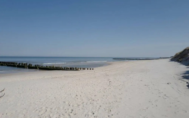 Art Forrest 33 K in Rogowo