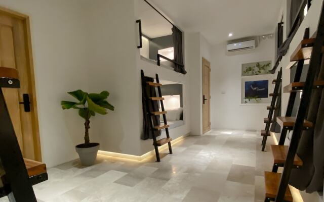 Wild Monkeys Hostel