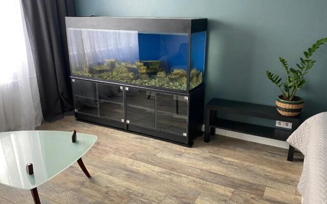 City Ocean apartment