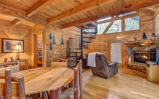 Bear Pause by Vtrips