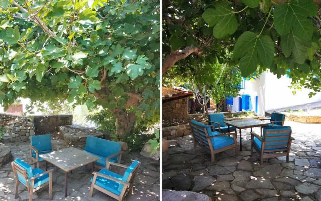 Güzel Ev