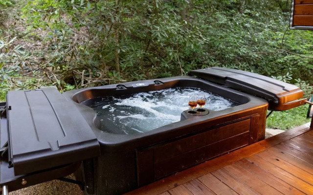 Creekside Fern in Pisgah Forest