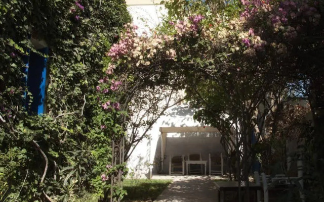 Le vent des Dunes