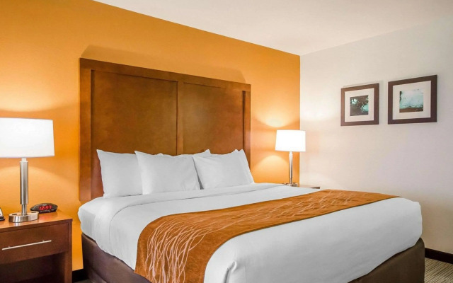 Comfort Inn Ferdinand