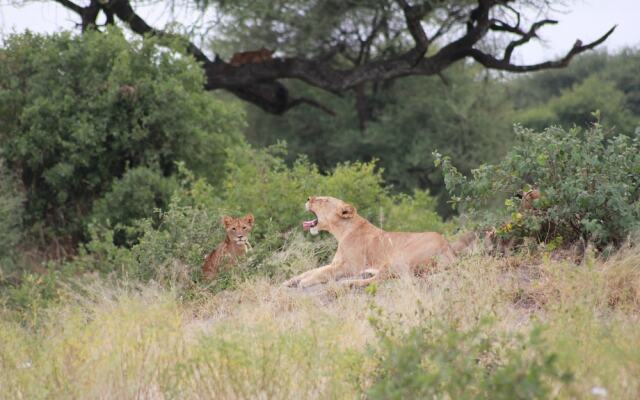 Tarangire River Camp, Mbali Mbali Lodges and Camps