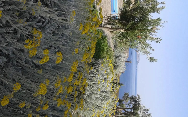 Pegasus Resort
