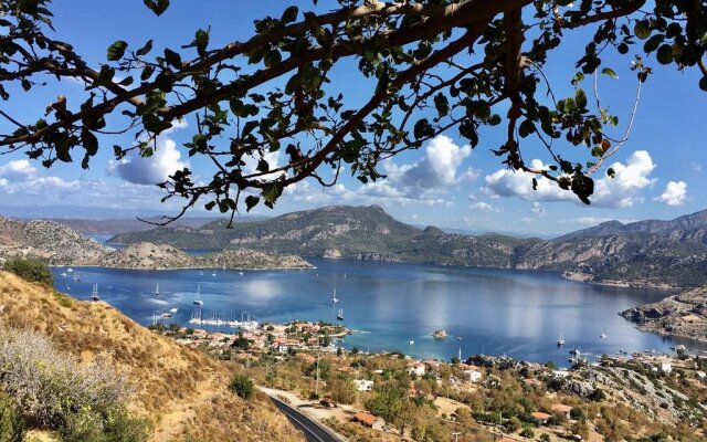 Uzum Tatil Evi