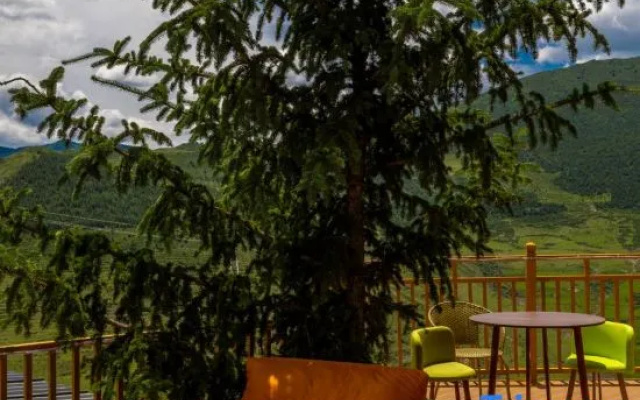 Cloud Top Carefree Homestay — hotel in Ngawa