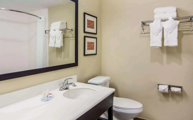 Comfort Inn Atlanta Downtown South