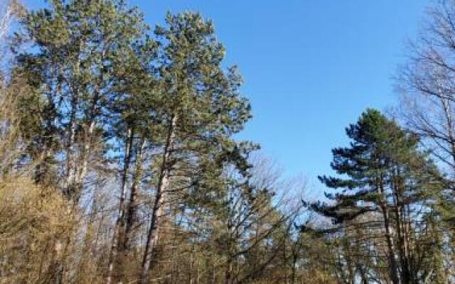 Chalet des pins d'Autriche