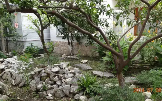 Nadezhda Guest House