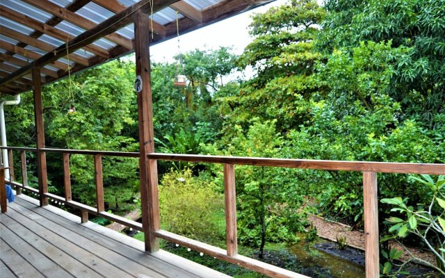 One Bedroom Tree Top Studio Vacation Home @ The Tropical Acre San Ignacio Belize
