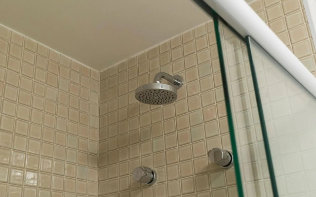 Studio Augusta/Frei Caneca cd 905