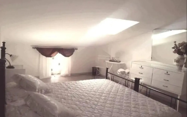 Sui Passi di Francesco