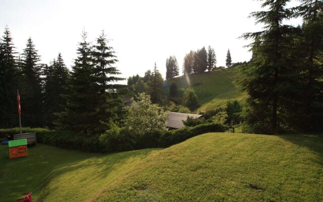 Comfortable Holiday Home With Sauna in Sankt Stefan
