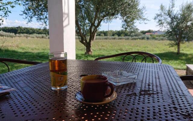 Apartment Bozana 2