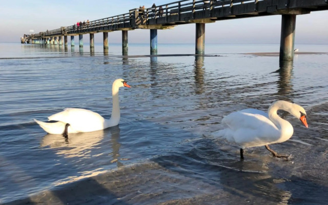 Strandvilla Waldhaus