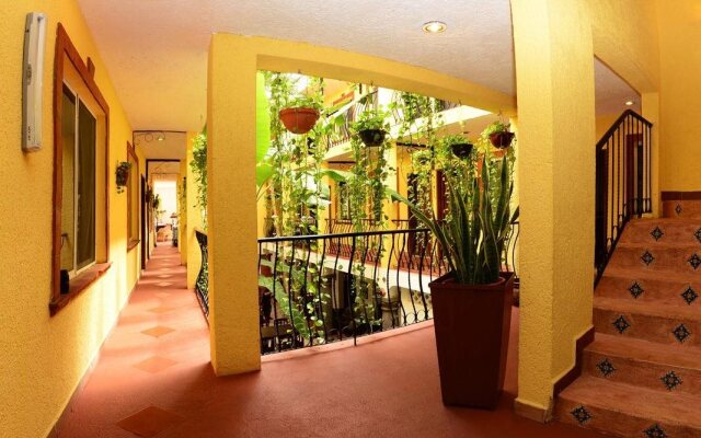 Unic Design Hotel - Near Mamitas Beach Club