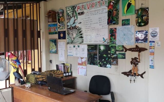 Cabinas Pura Vida Bed & Breakfast