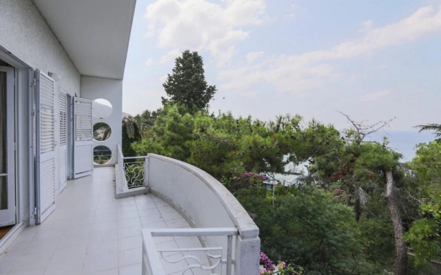 Luxury Mansion in the Heart of Prince Island