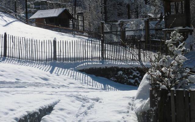 Älmele - Waldchalets Brandnertal