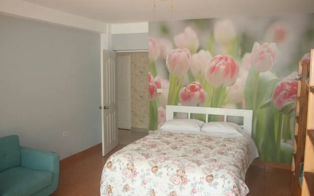 Zoila's Suite Escape